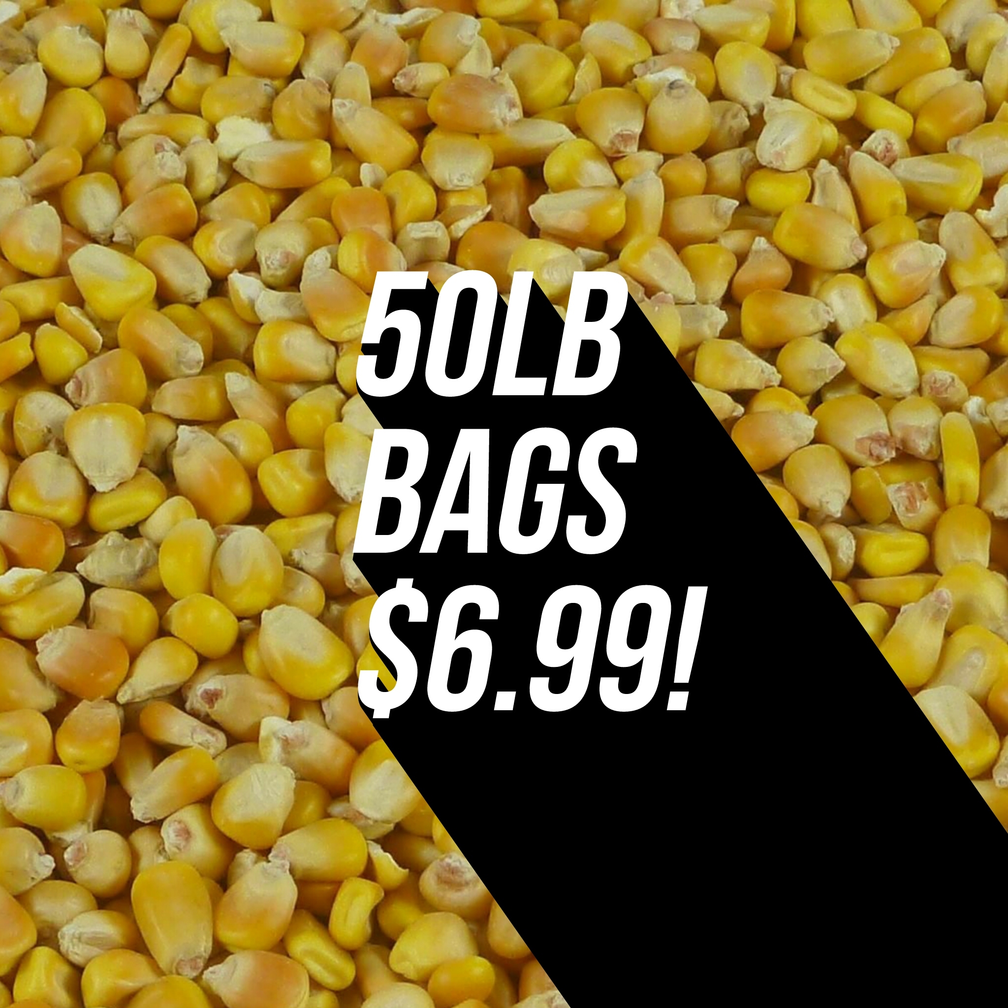 Yellow Corn, 50 LB bag