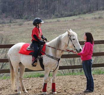 <span style="color:#A52A2A"><strong><span style="font-family:comic sans ms,marker felt,sans-serif">Lucky Top Ranch in Bentleyville!</span></strong></span>